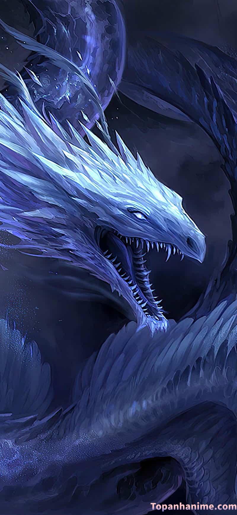 Mẫu ảnh rồng anime 3