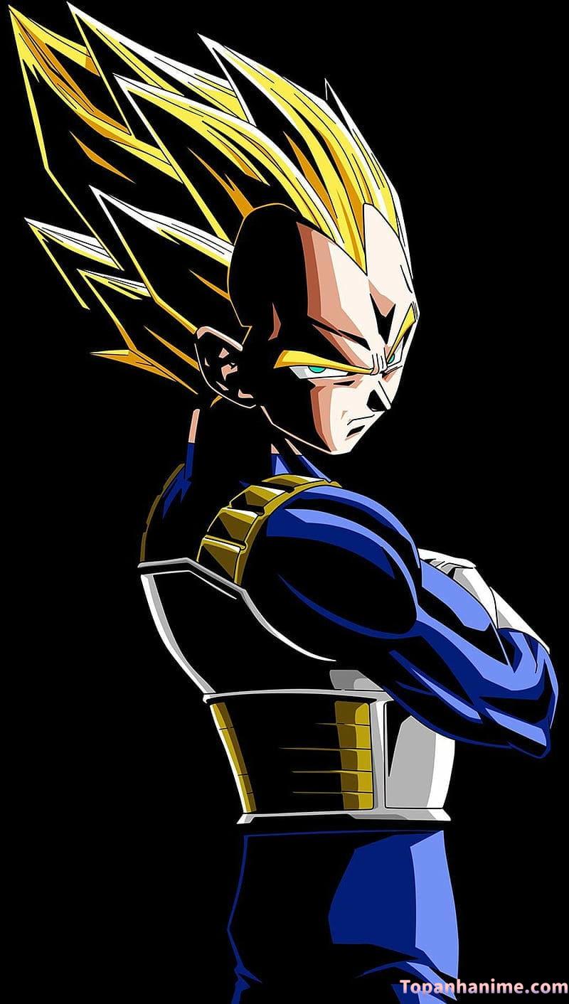Mẫu Ảnh Vegeta 4