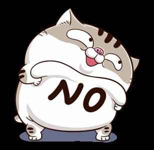 Ảnh Mèo Bựa Cute 10