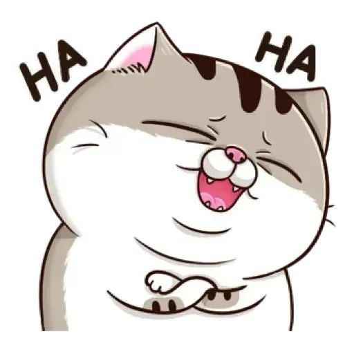 Ảnh Mèo Bựa Cute 13