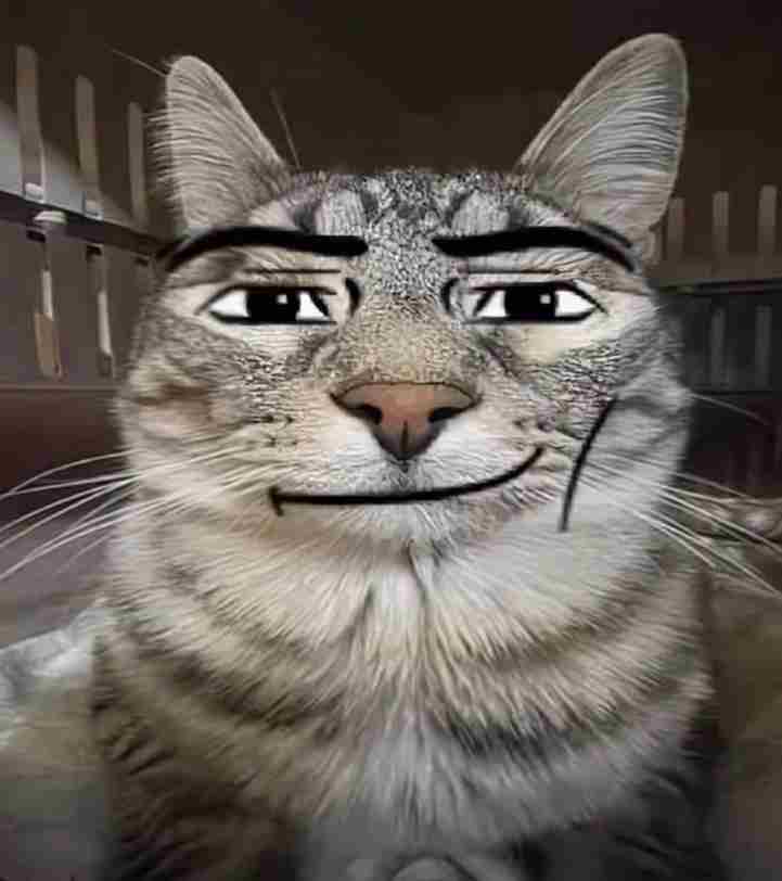Mèo meme 12