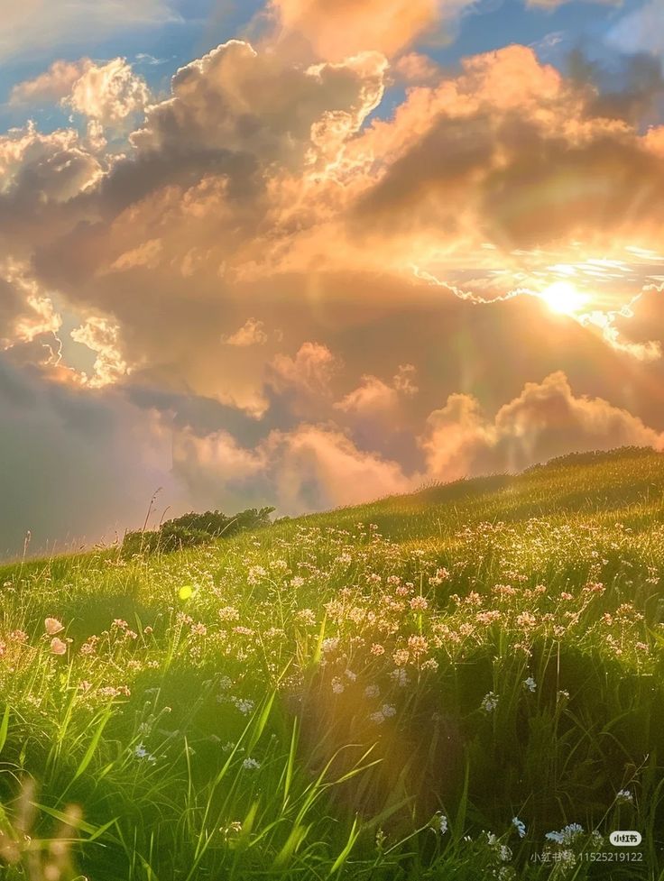 Ảnh phong cảnh chill 9