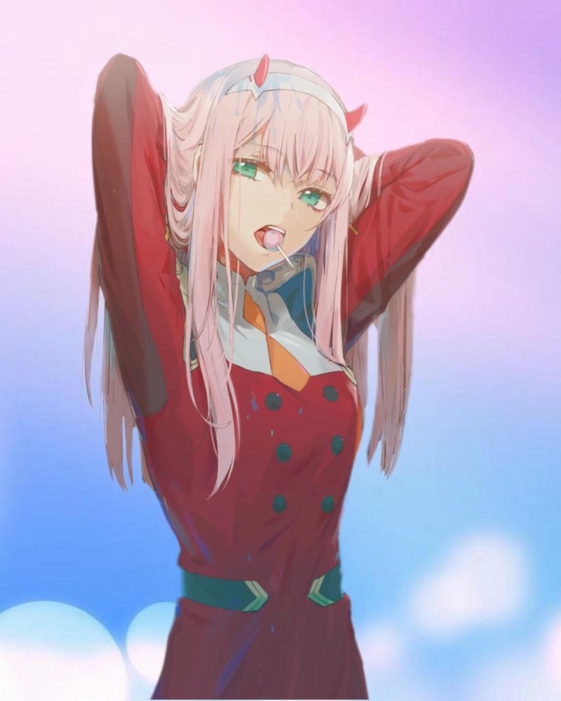 ảnh Zero Two 24