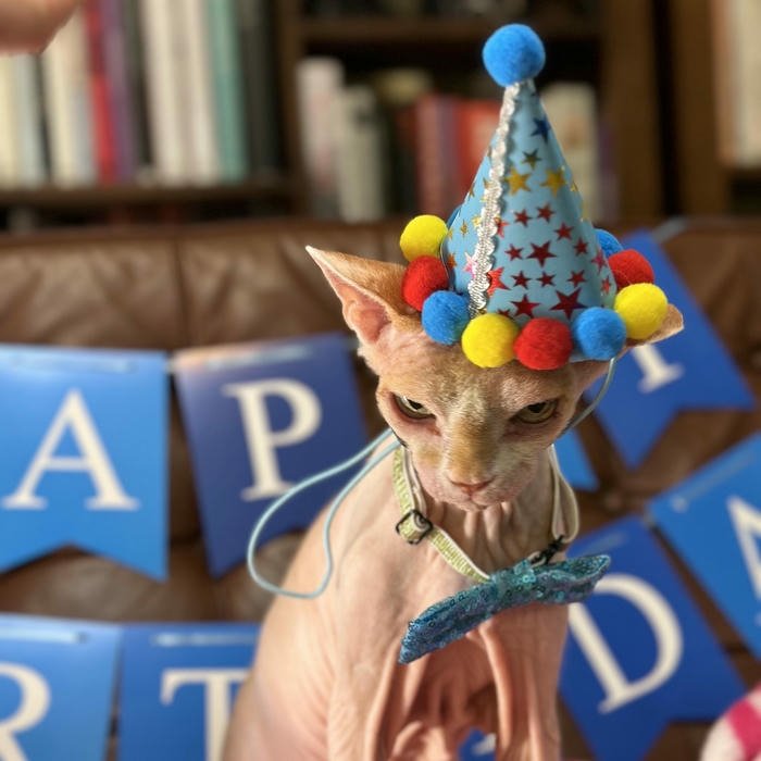 avatar TikTok đẹp 9