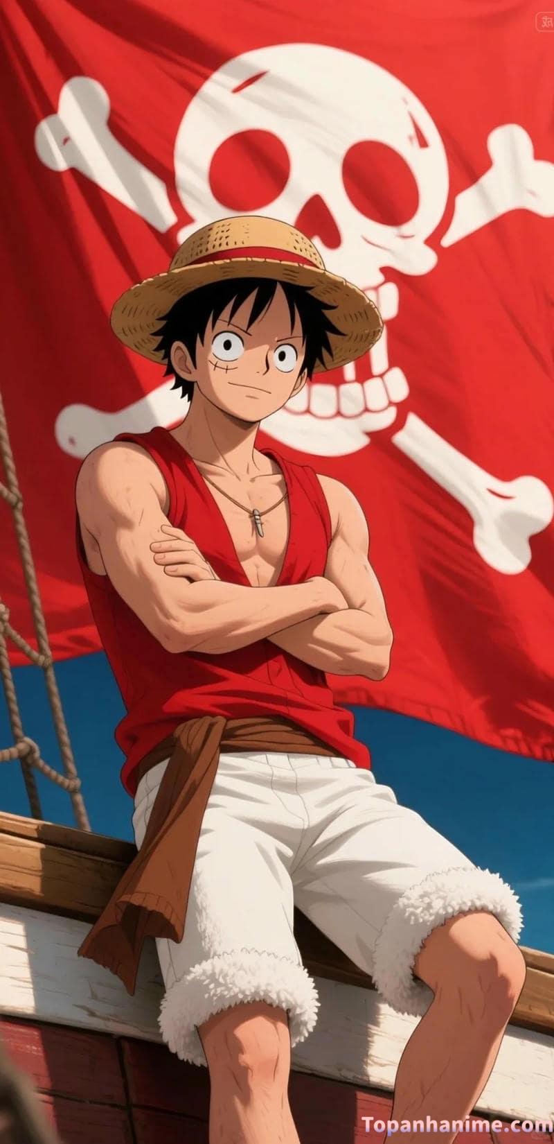 Mẫu ảnh Luffy 8