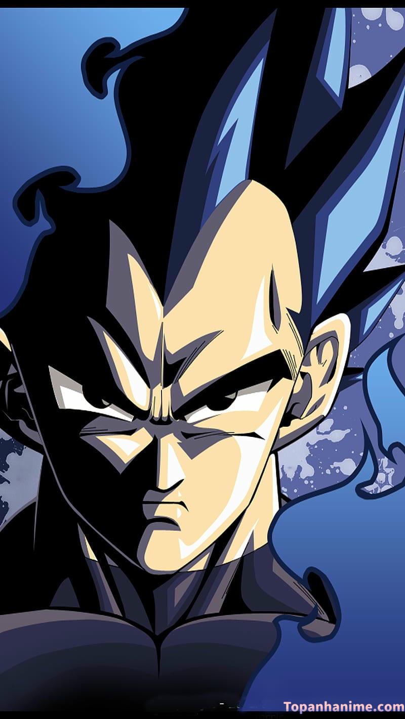 Mẫu Ảnh Vegeta 12