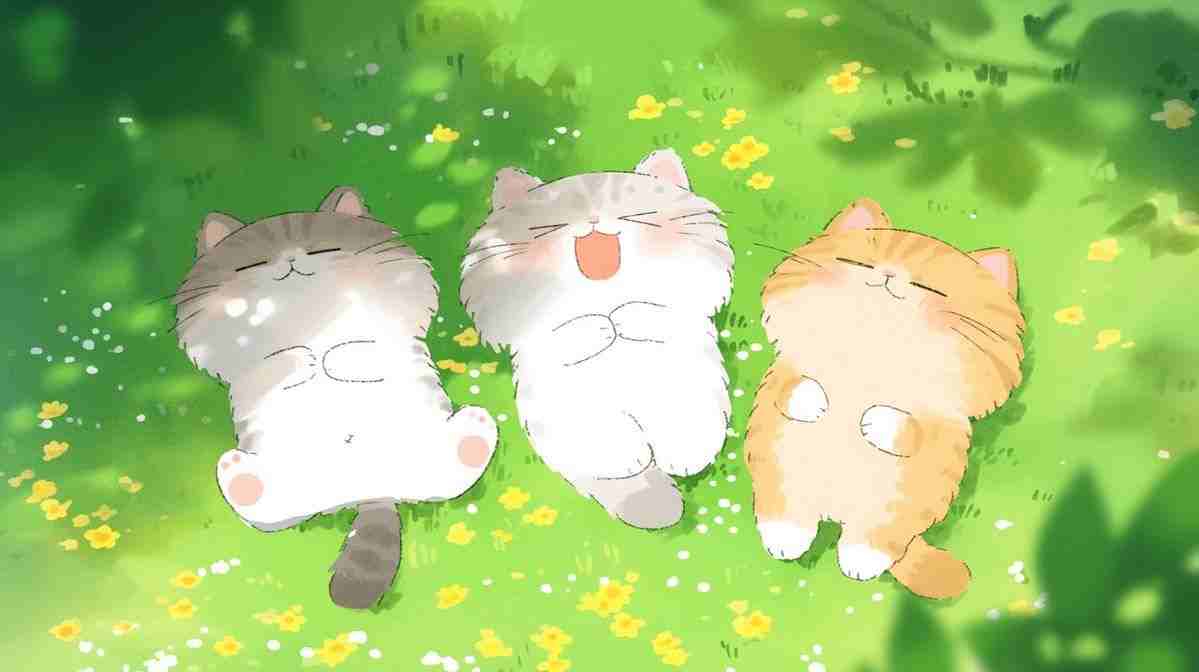 Hình Nền Laptop Cute 3