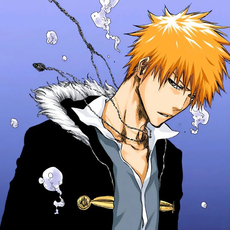 Ảnh Ichigo 37