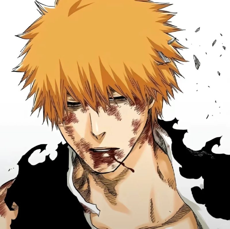Ảnh Ichigo 38