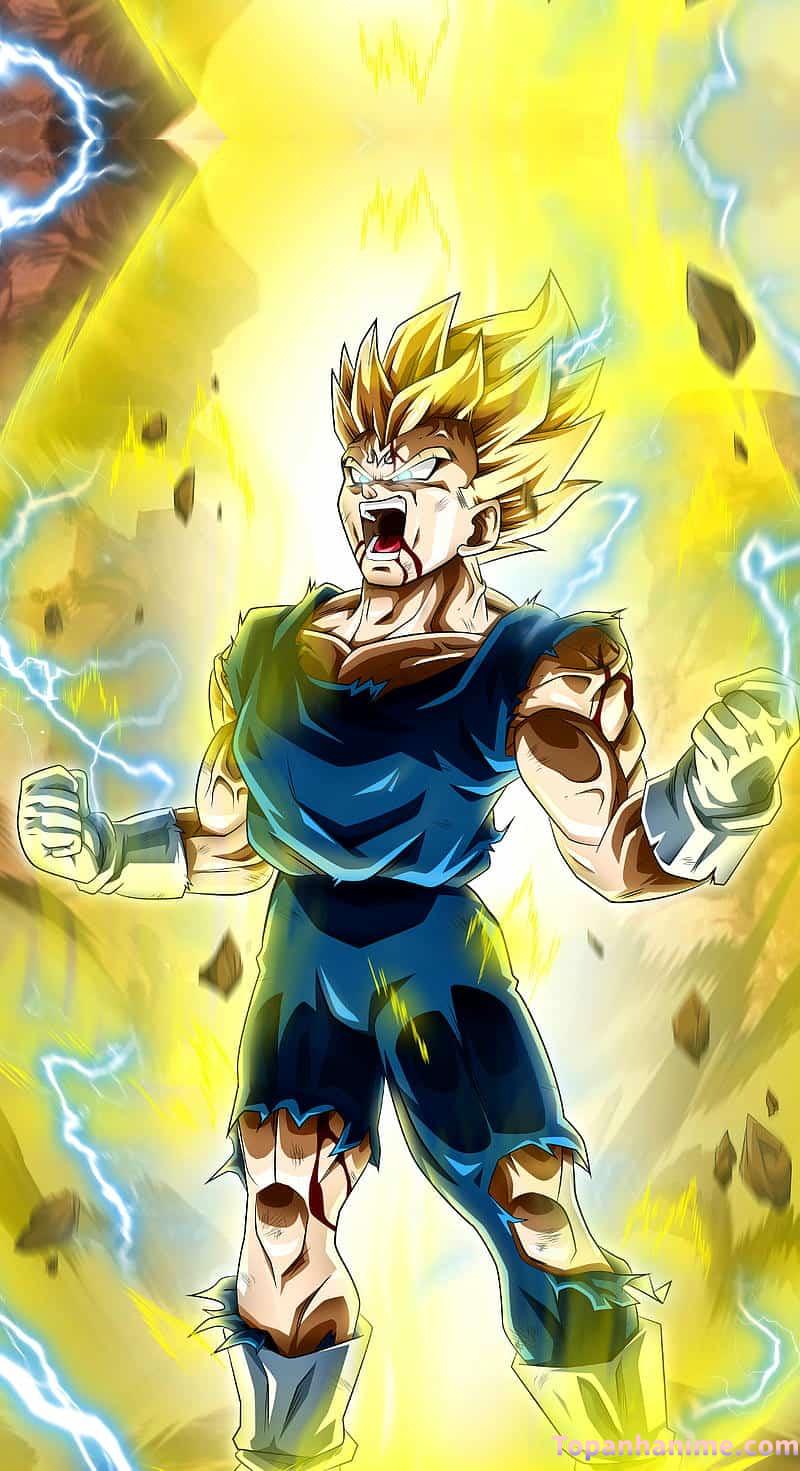 Mẫu Ảnh Vegeta 15