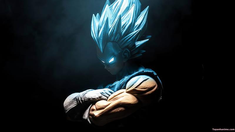 Mẫu Ảnh Vegeta 16