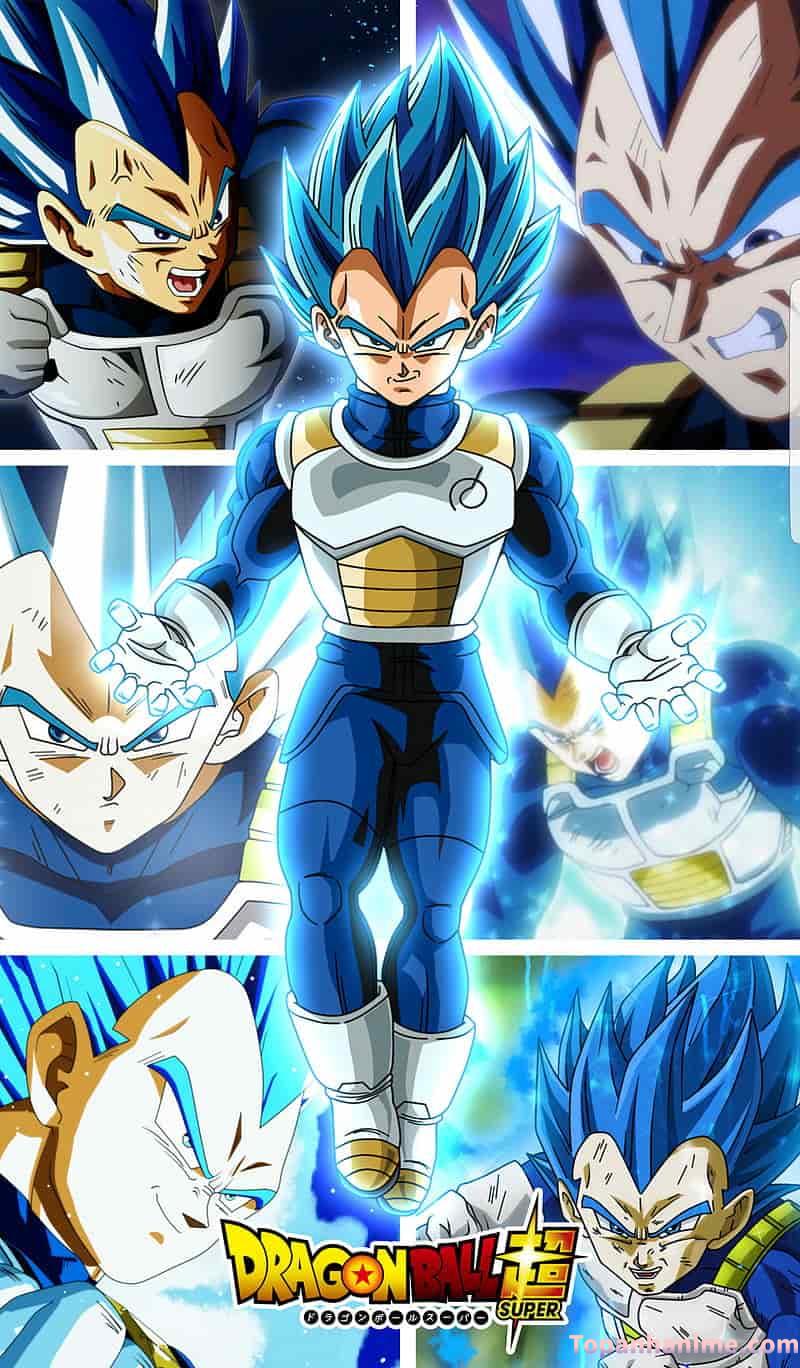 Mẫu Ảnh Vegeta 18
