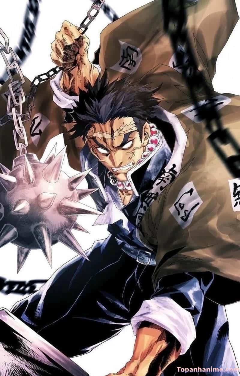 ảnh Gyomei Himejima 21