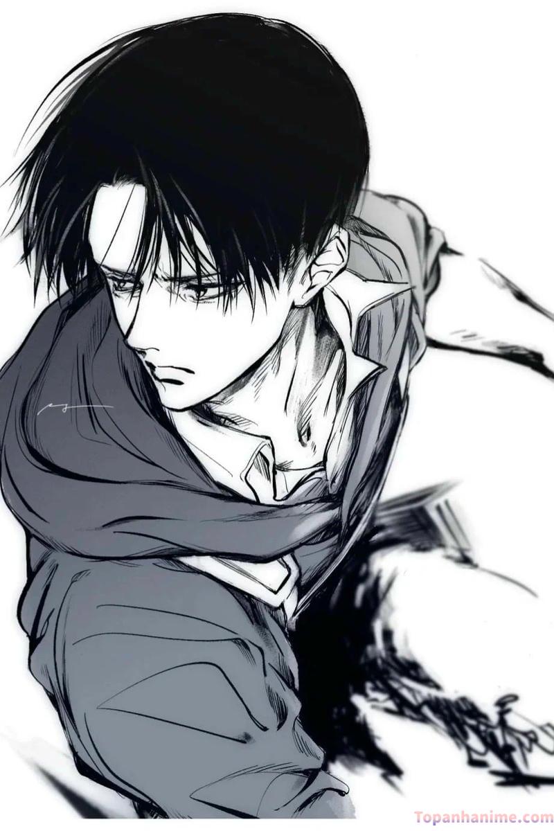 Mẫu ảnh Levi Ackerman 23