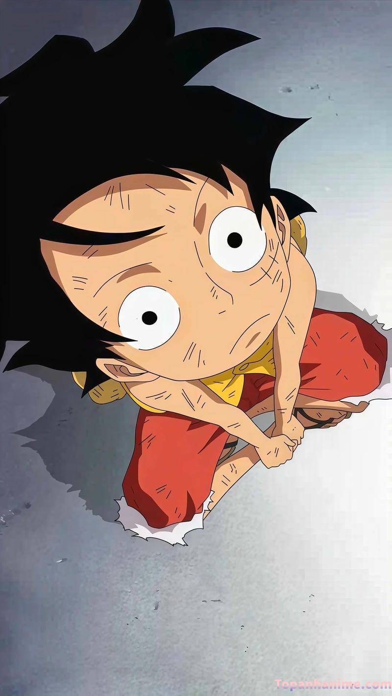 Mẫu ảnh Luffy 21
