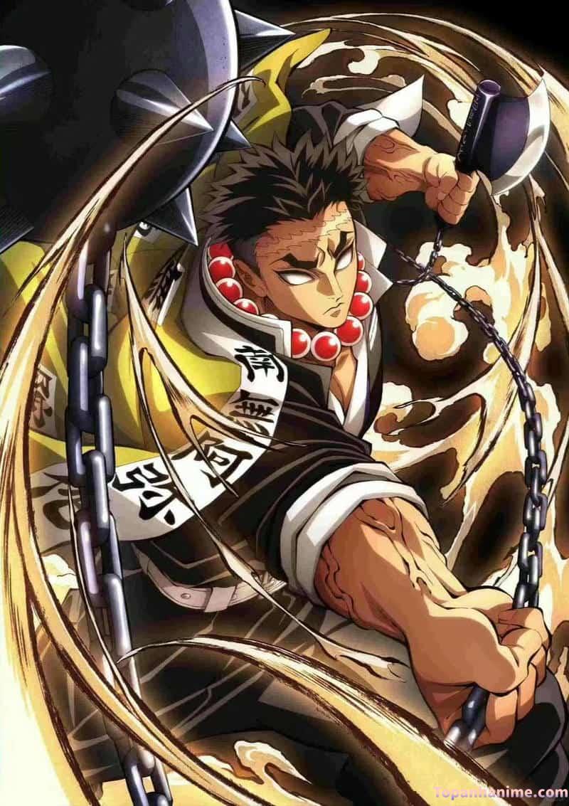 ảnh Gyomei Himejima 16