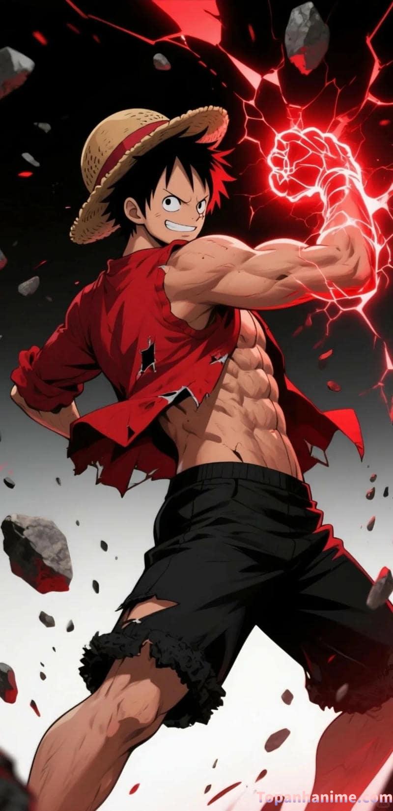 Mẫu ảnh Luffy 23