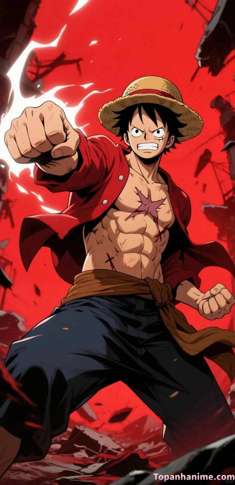 Mẫu ảnh Luffy 25