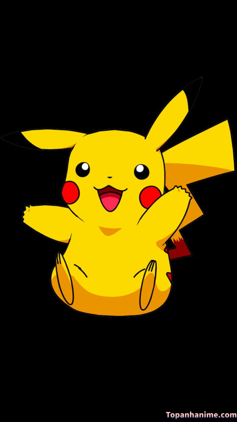 Mẫu ảnh Pikachu 25