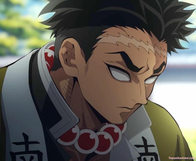 ảnh Gyomei Himejima 8