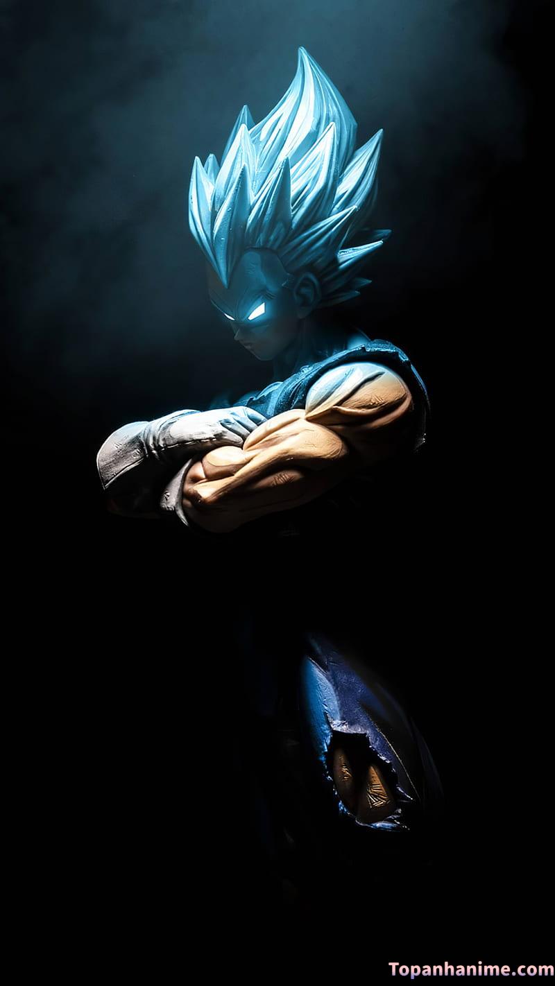 Mẫu Ảnh Vegeta 31
