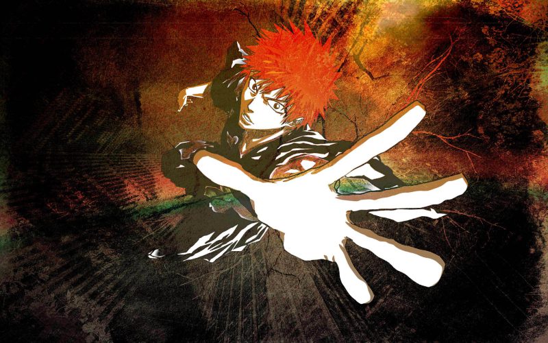 Ảnh Ichigo 13