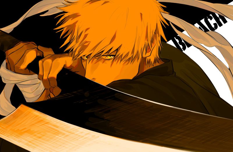 Ảnh Ichigo 19
