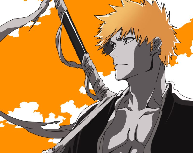 Ảnh Ichigo 20