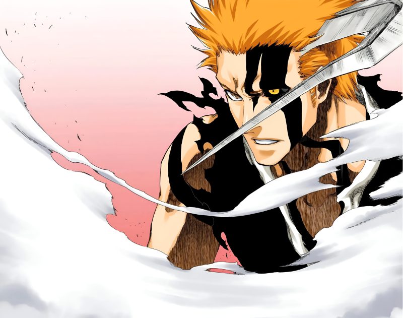 Ảnh Ichigo 31
