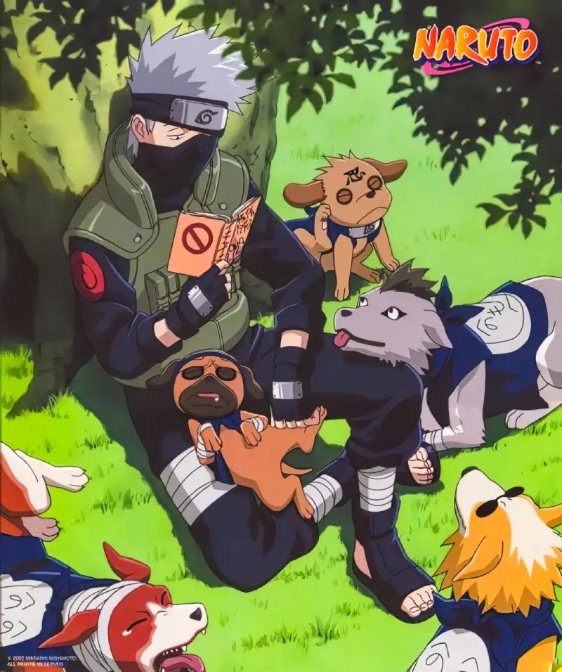 ảnh Kakashi 10