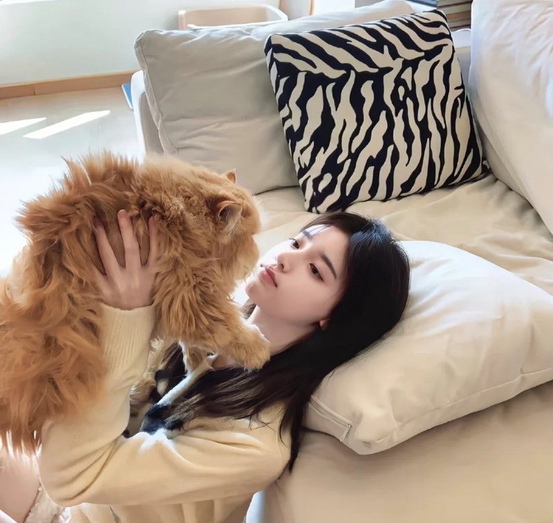 ảnh avatar gái xinh 41