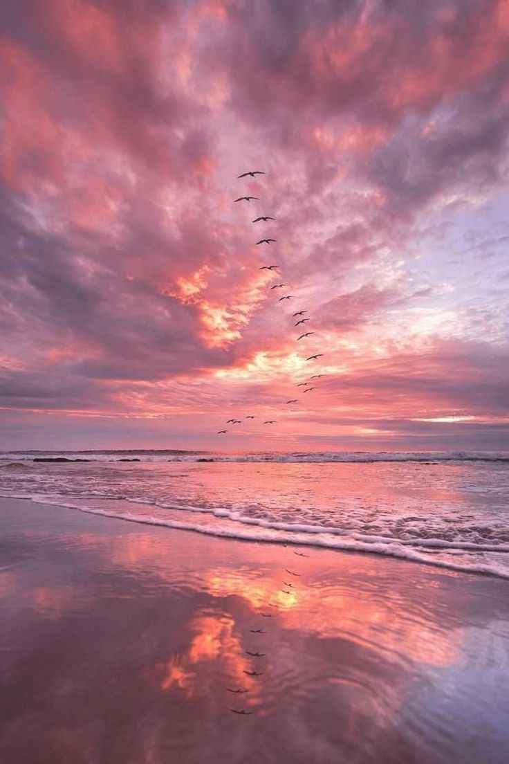 Ảnh Biển Chill 9