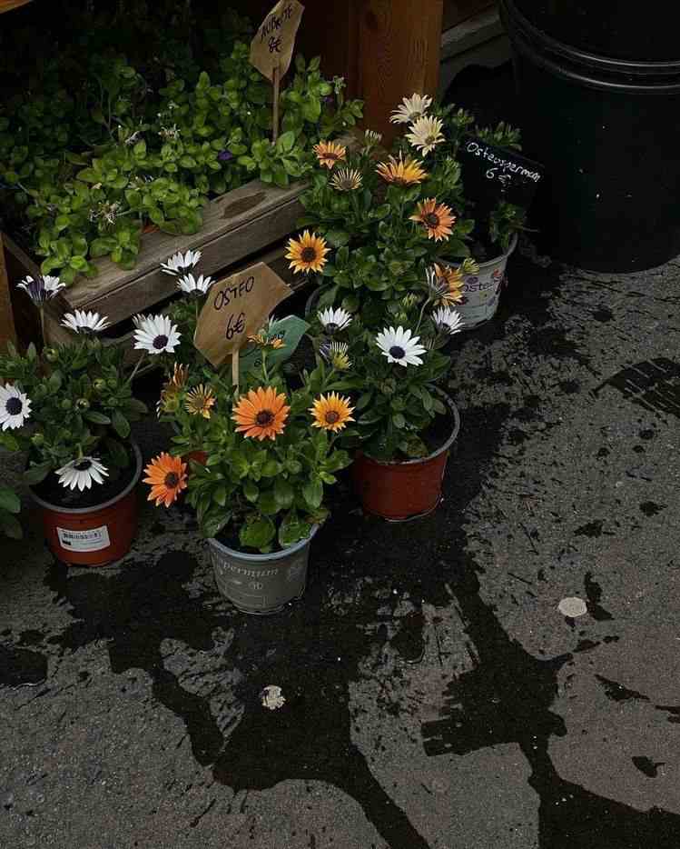 Ảnh Chill Buồn 12