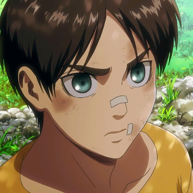 ảnh Eren 7