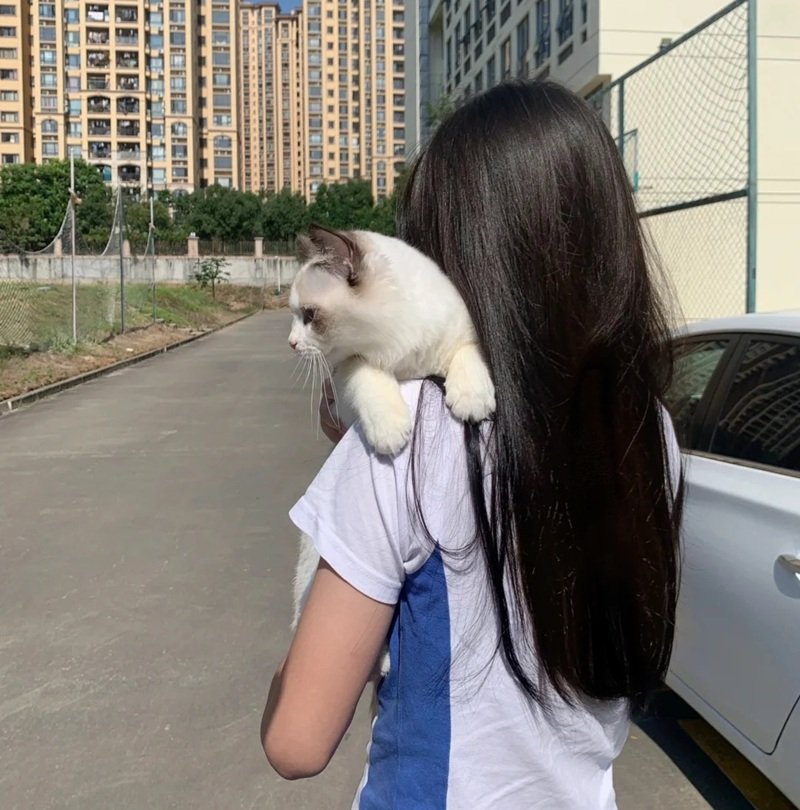 avatar ảnh gái xinh k8 35