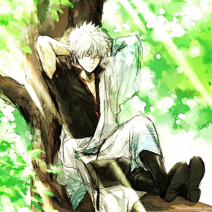 Mẫu ảnh Gintoki Sakata 17