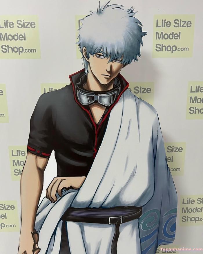 Mẫu ảnh Gintoki Sakata 21