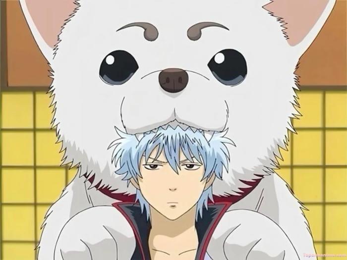 Mẫu ảnh Gintoki Sakata 27