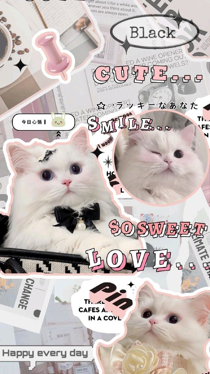 Ảnh Hình Nền Điện Thoại Đẹp 10