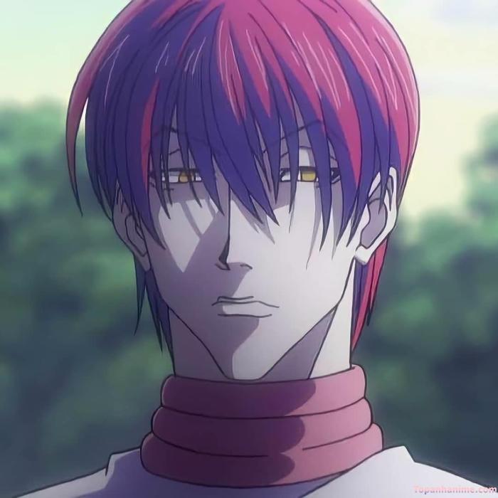 Mẫu ảnh Hisoka Morow 14