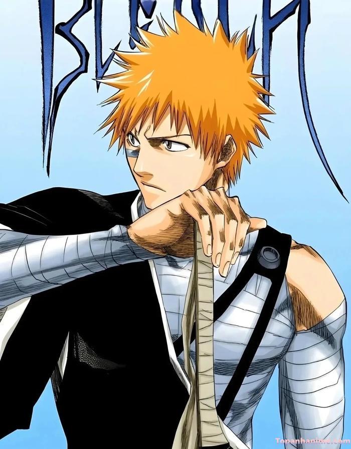 Mẫu ảnh Ichigo Kurosaki 29