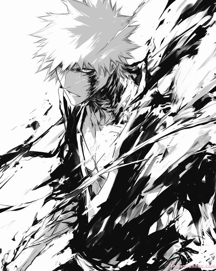 Mẫu ảnh Ichigo Kurosaki 35