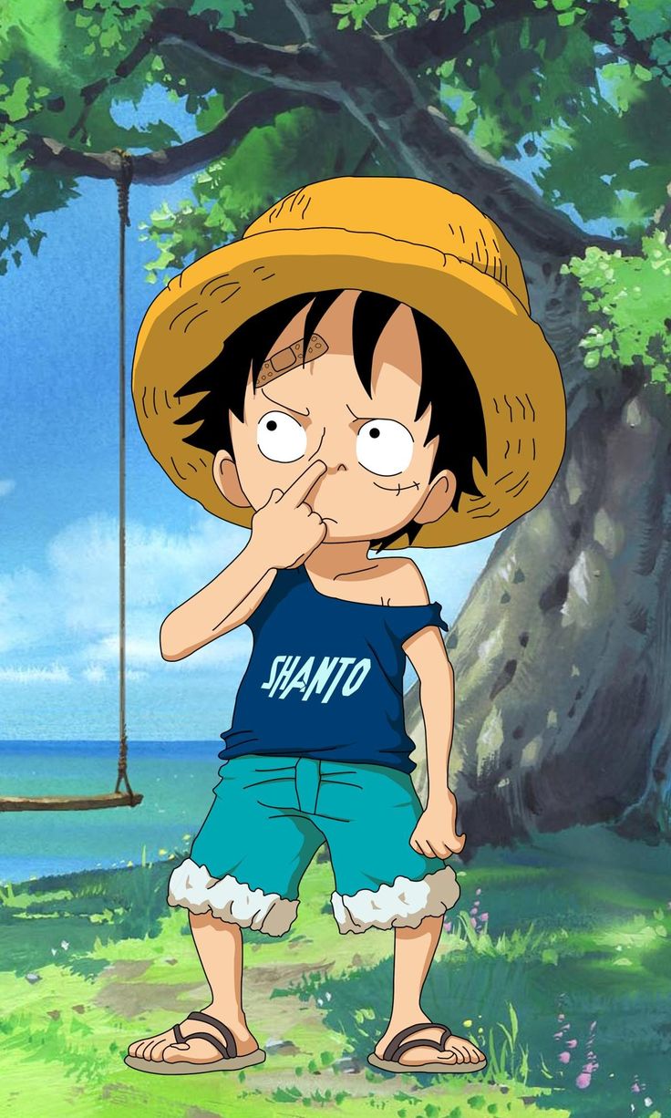 Ảnh Luffy 12
