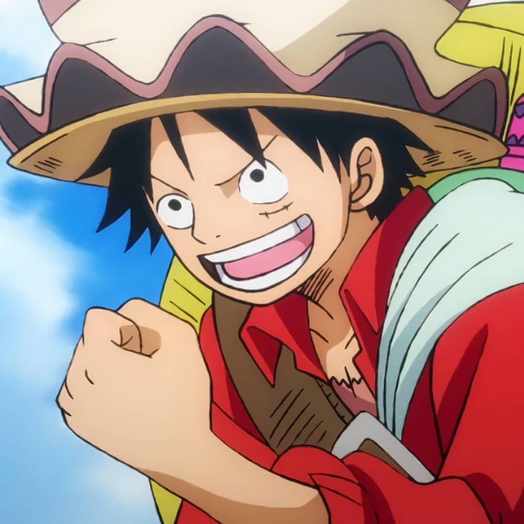 Luffy cười 14