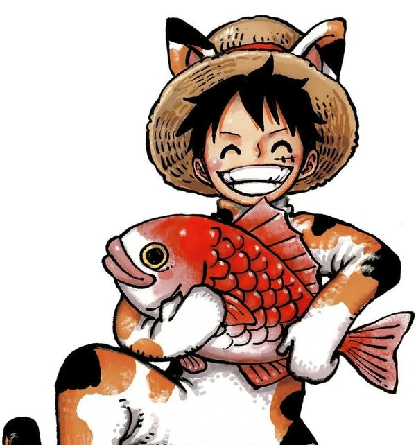 Luffy cười 19