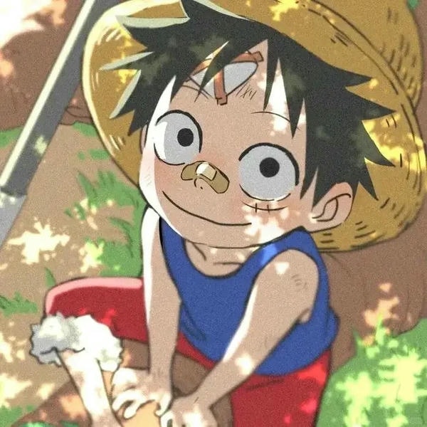 Luffy cười 25