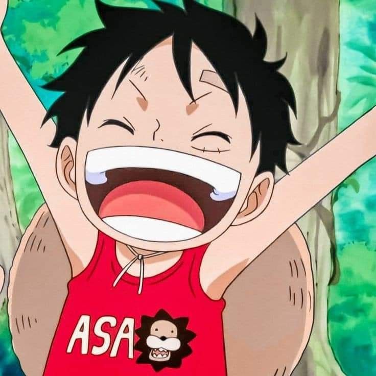 Luffy cười 8