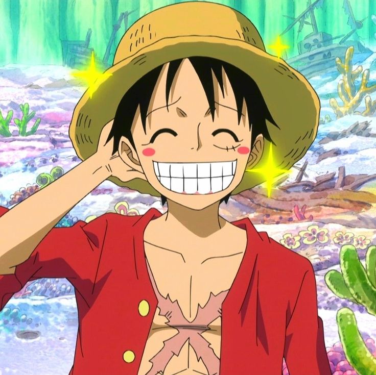 Luffy cười 9