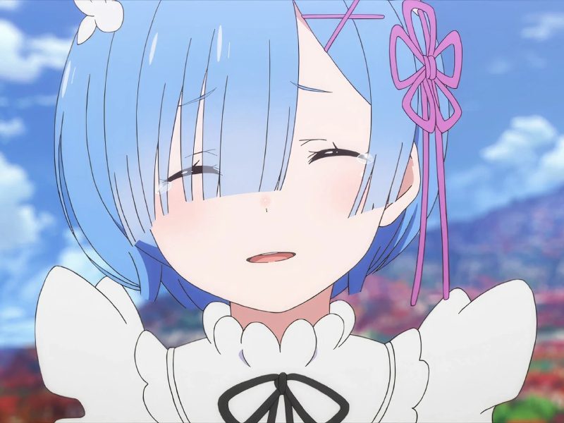 ảnh Rem 11