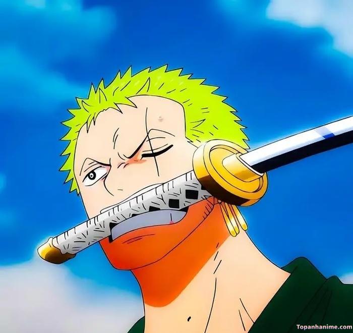 Mẫu ảnh Roronoa Zoro 20